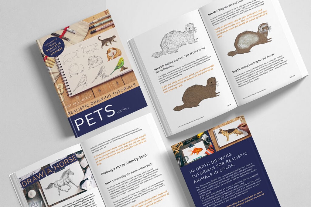 artincontext buch pets