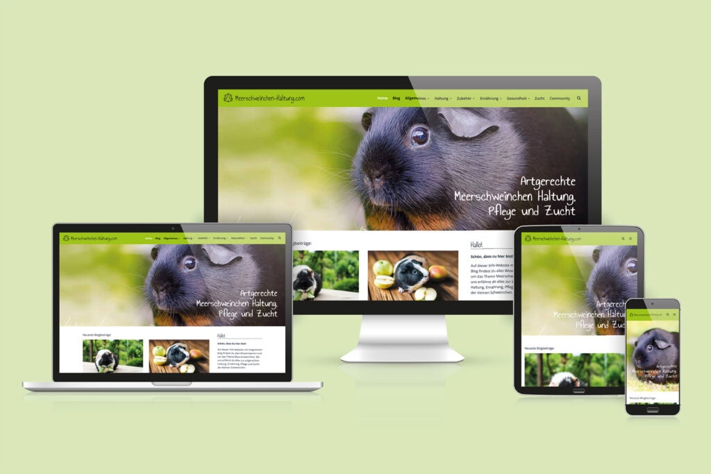 faesslermedia portfolio meerschweinchenhaltung 1800px