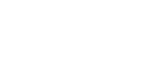 wsg zaubernuss logo