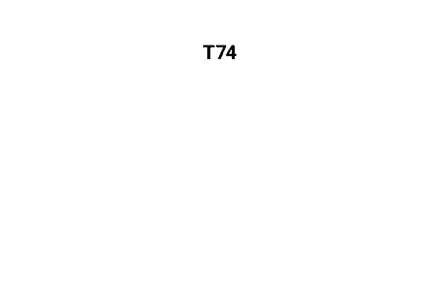 t74 personenschutz logo