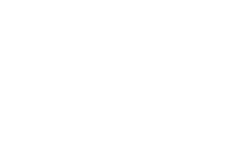 thomasfaessler logo2