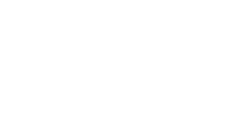 timo koenig hundecoaching
